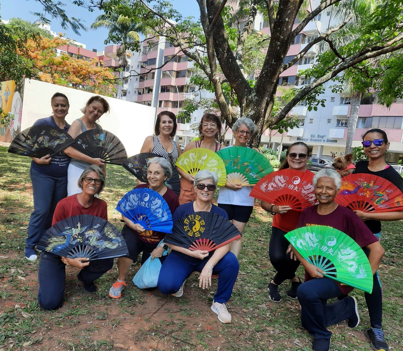 Balanço Feminino, Por Ana Beatriz Carvalho