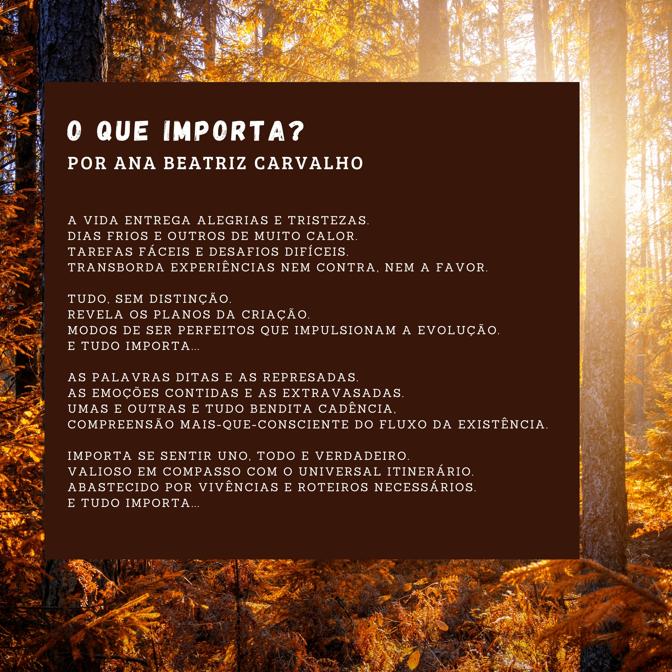 O que importa? Por Ana Beatriz Carvalho